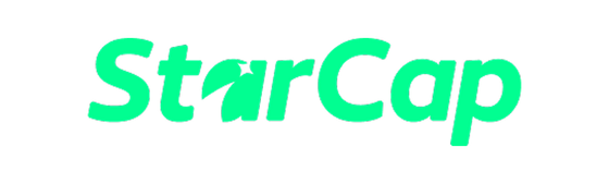 Star Capital Investment Group