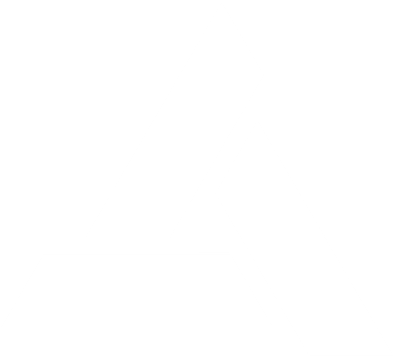 Animus Projesi
